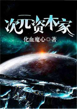 次元集团主要产品