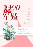 重生九零王牌军婚