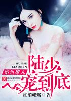 婚色撩人陆先生一宠到底