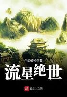 流星免费阅读