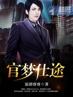官梦仕途唐世杰第几章结婚的