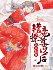 妃本轻狂之傻王盛宠