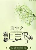 看上去很美免费阅读完整版