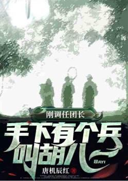 手下有个兵叫胡八一飞卢