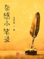 小杂感赏析