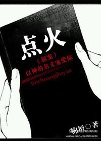 点火叔宠全集免费