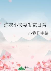 炮灰小夫妻发家日常好看吗