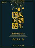 偏执的沈先生实体书