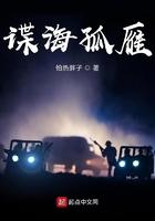 谍海孤雁txt百度资源