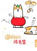 遛狗的陈先生大结局