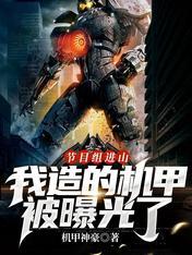 我造的机甲被曝光了盗版