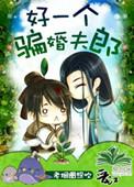 好一个骗婚夫郎全文免费阅读笔趣阁