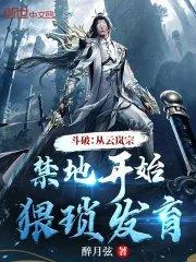 斗破之云岚宗老祖宗
