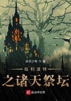 哈利波特之献祭诸天