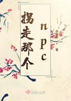 463. 拐走那个npc[无限流