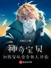 神奇宝贝训练家从赏金猎人开始飞卢