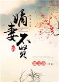 嫡妻不好惹未删减