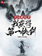 我获得第一快剑全文在线