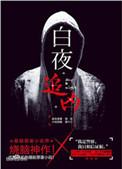 白夜追凶全集免费播放