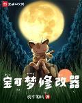 宝可梦修改器女主叫什么