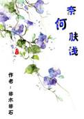奈何肤浅非木非石无防盗