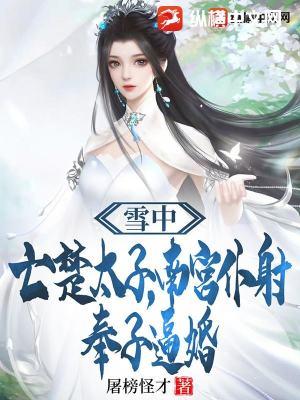 雪中悍刀行南宫仆射表白