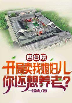 四合院卖了出国的故事