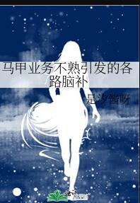 马甲企业