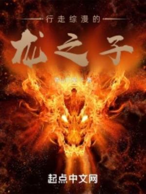 行走综漫的龙之子无错