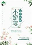 七十年代小娇妻 (晴空灵)