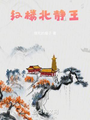 红楼北静王林黛玉