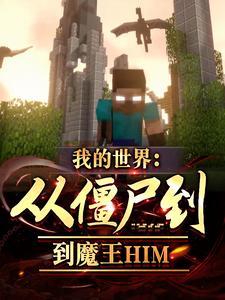 我的世界从僵尸到魔王him全文阅读