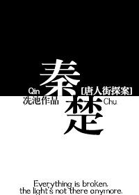 唐人街探案秦风bg