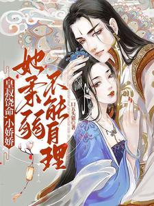 九皇子是女儿身作者一口五头猪