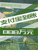 支付宝到账888万元笔趣阁