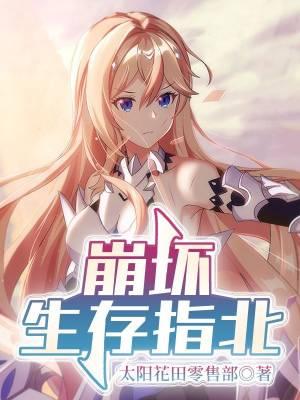 崩坏指令大全