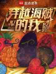 穿越海贼王之磁铁果实