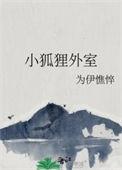 小狐狸外室书评
