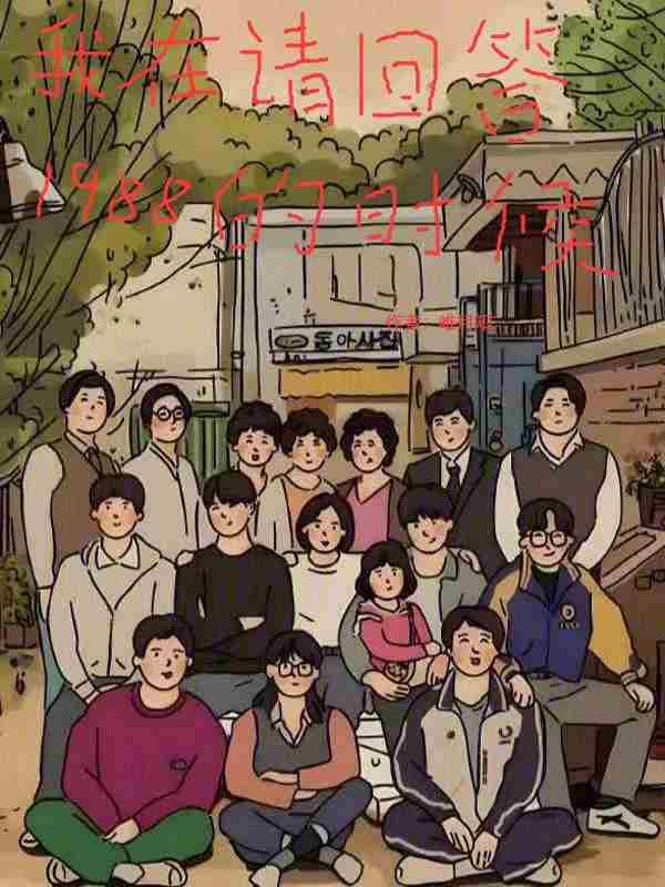韩剧请回答我的1988