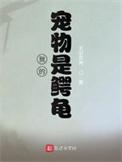我的宠物是鳄龟视频动漫
