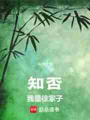 知否我是徐家子精校版免费