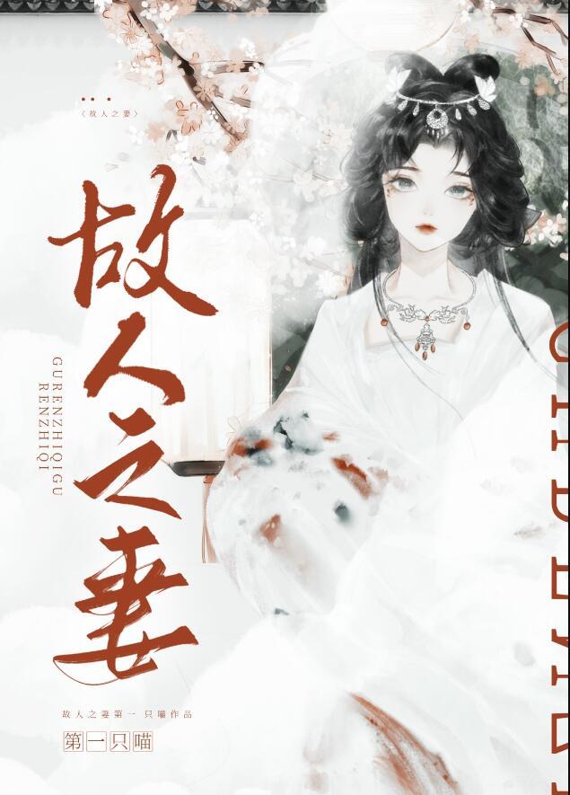 故人之妻晋江