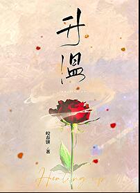 升温费德勒