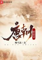 唐朝好岳…父