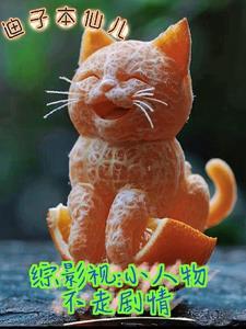 综影视小人物不走剧情 听书