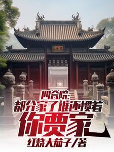 四合院一家人怎么分