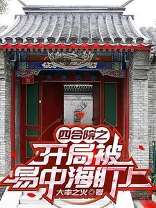 四合院让我搅得稀巴烂列表 作者大丰之火