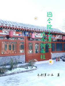 四合院之重生成为何雨柱全