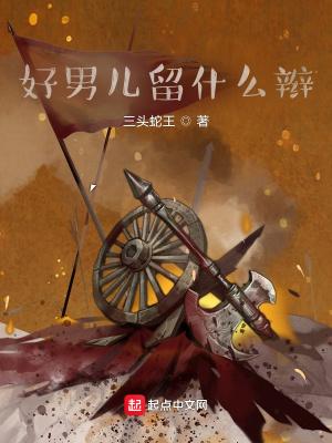 好男儿留什么辫 - 免费全文阅读
