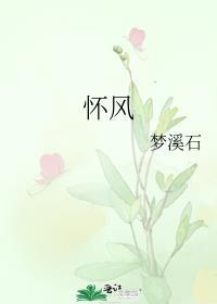 怀凤高速开工了吗
